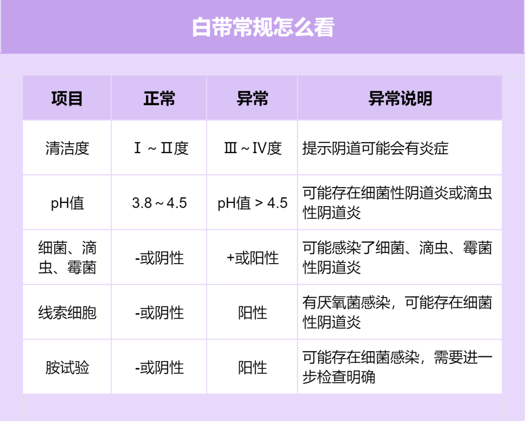来自搜狐网