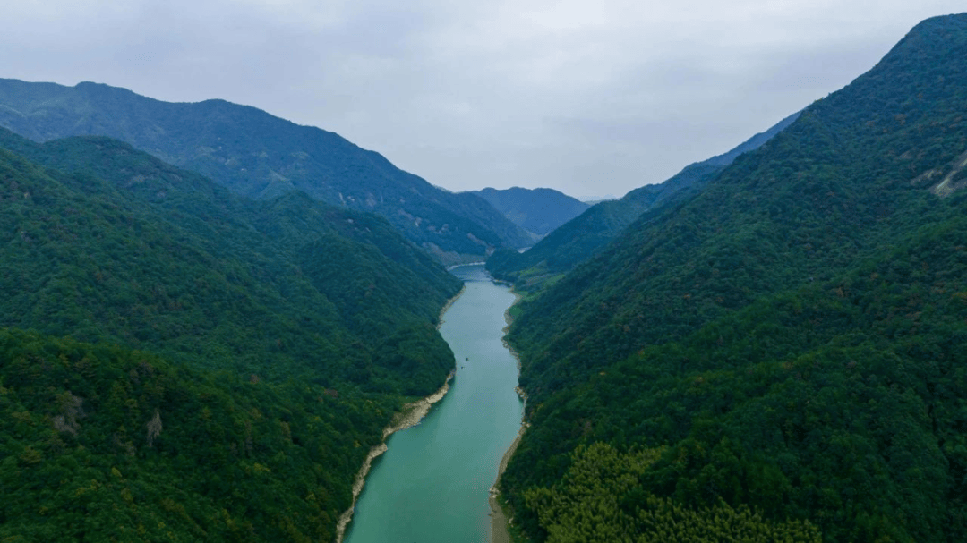 一口咬进临安的春天~_柳溪江_美食_指南