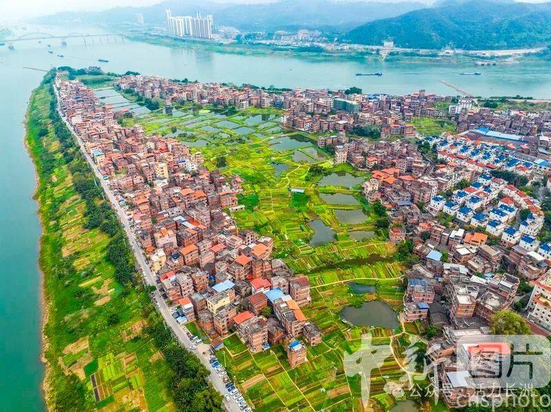 【中新社报道】长洲区:和美城乡春意浓_梧州市_广西_生态