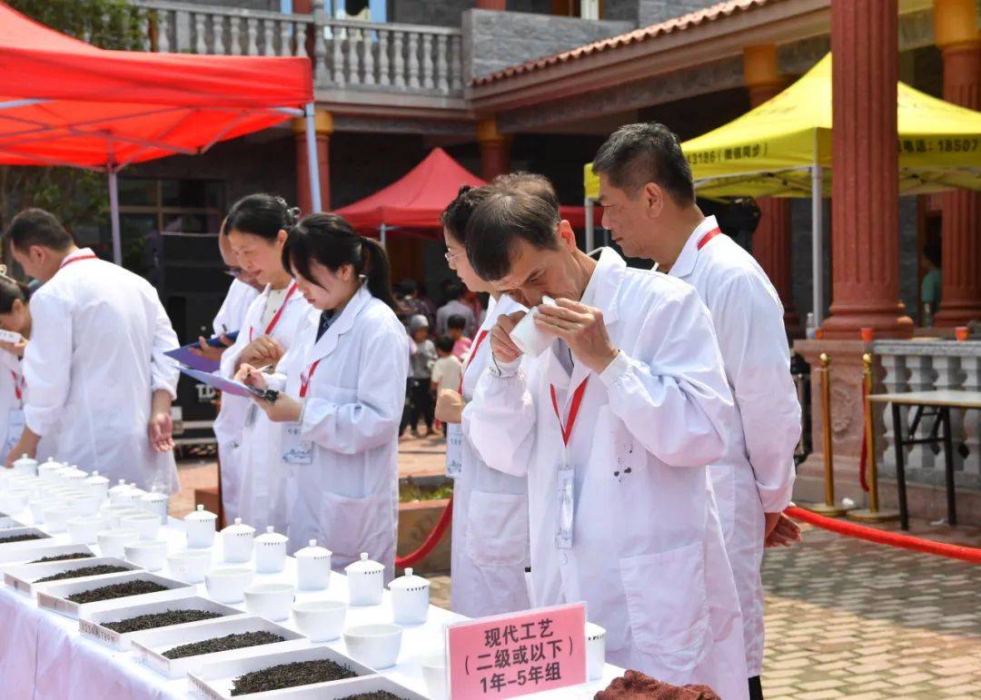 云边采芽茶海品茗丨三鹤杯2024年梧州六堡茶斗茶大赛火热开赛