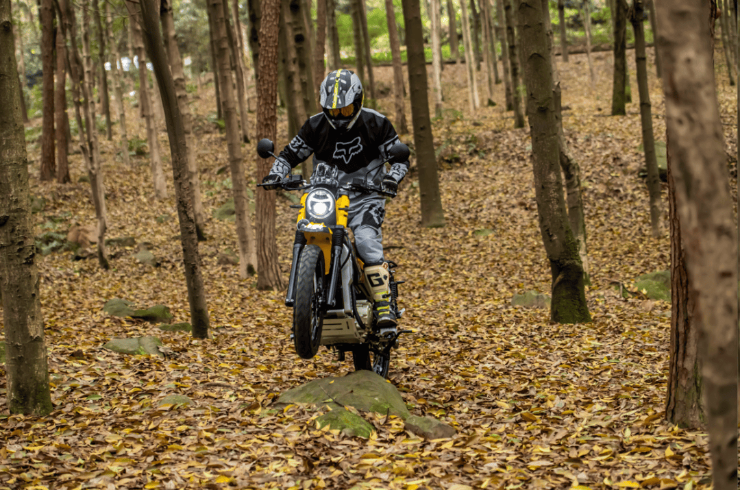 搜狐汽车_搜狐网