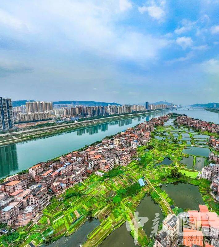 【中新社报道】长洲区:和美城乡春意浓_梧州市_广西_生态