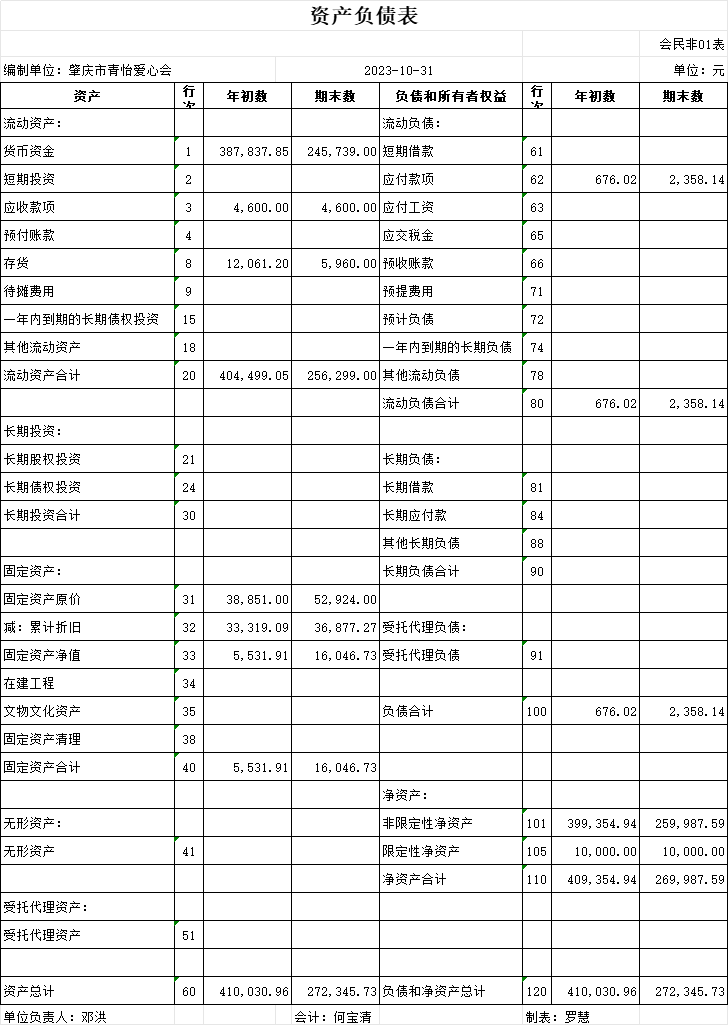 个人财务报表样本图片