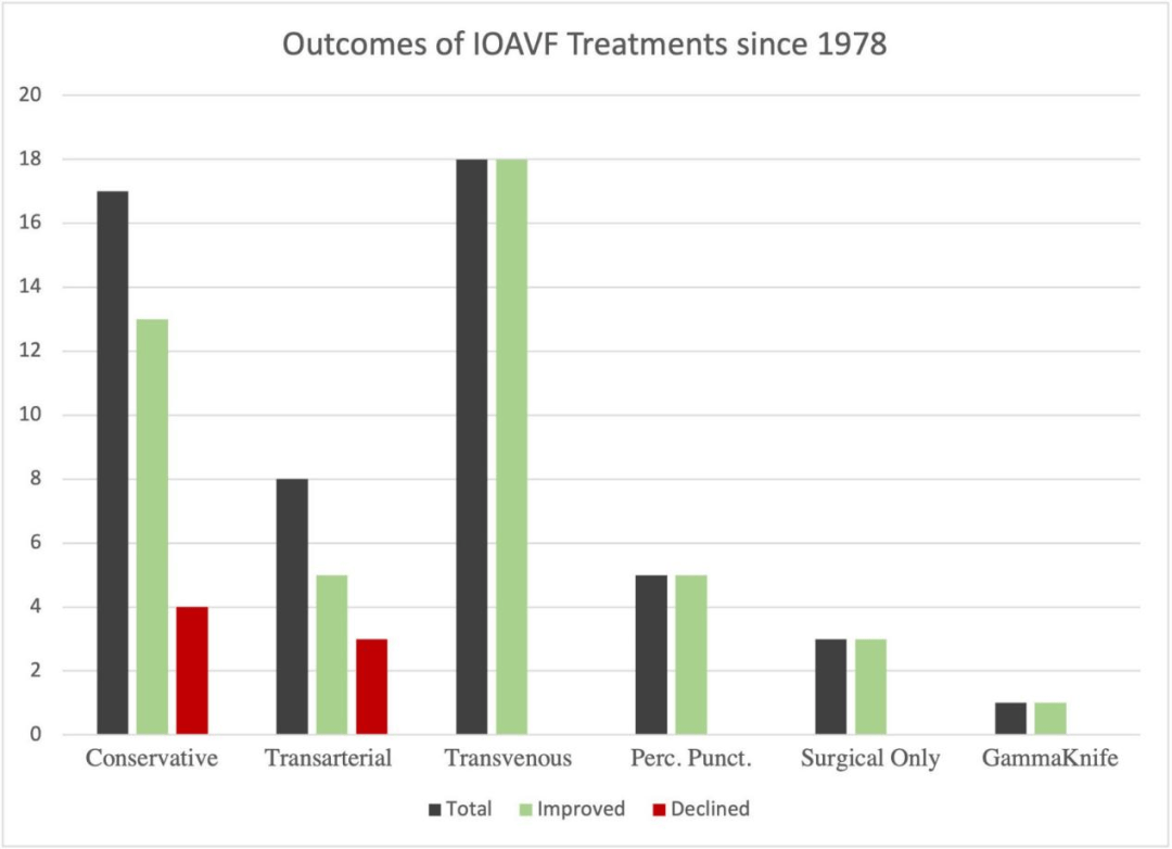 jnis中文版孙雅轩教授导读直接穿刺治疗眶内动静脉瘘
