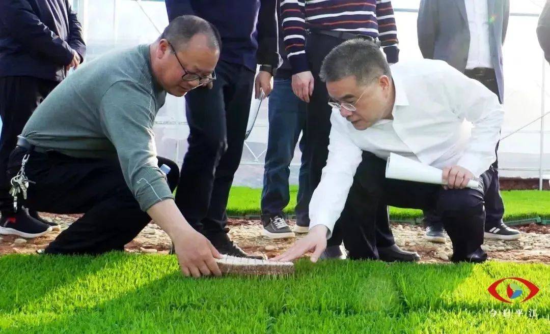 李勇调研督导春耕生产森林防火项目建设等工作并开展巡河
