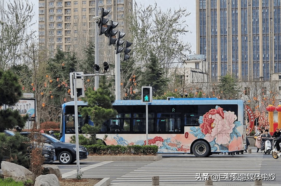 牡丹主题公交车亮相菏泽街头