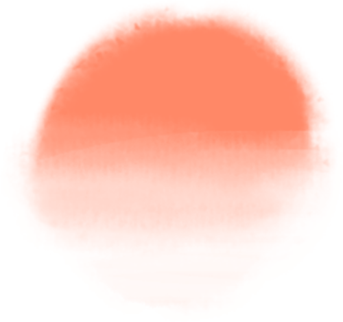 第4974期孙玉桃专栏丨黄鹂鸟