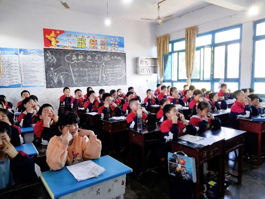 校园动态高屋建瓴明方向悉心关怀促发展南充市教科所莅临双凤镇小学