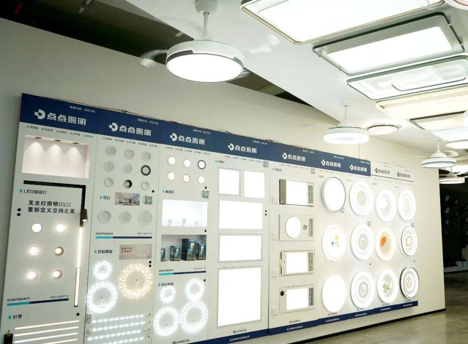 涉及鸿雁,公牛,阳光照明,点点照明,英索纳…_智能_行业_产品