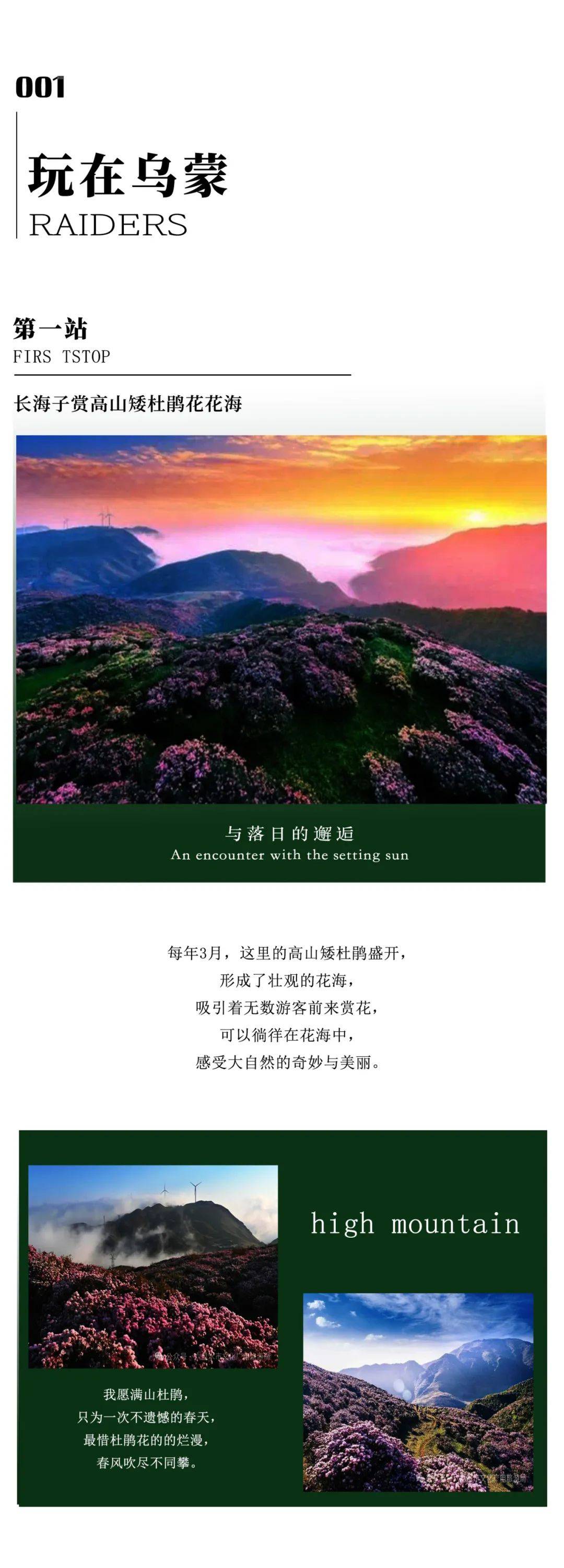 四季四美春之约乌蒙大草原赏杜鹃花最新游玩攻略来啦快马住