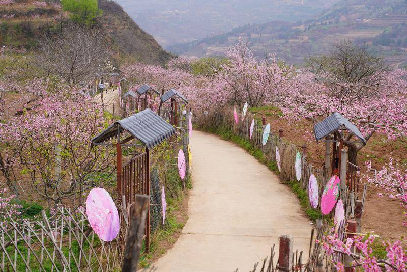人间四月桃花盛开临潼区仁宗街道文化旅游桃花季邀您赏花春游