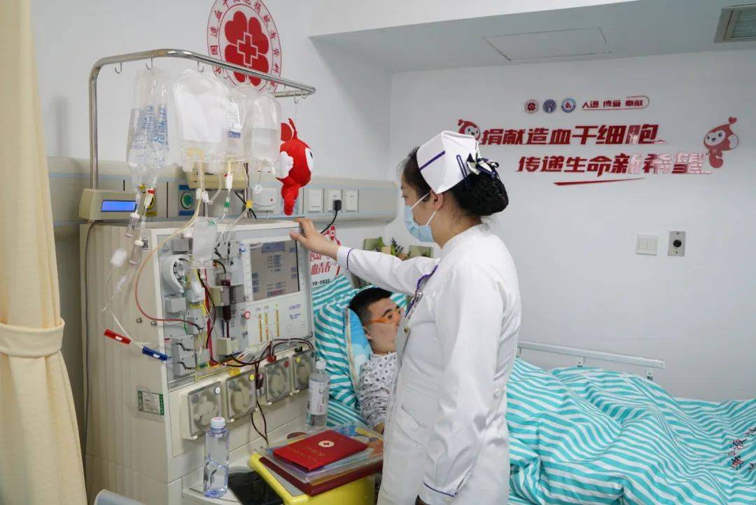 第一人民医院(上海市红十字医院)血液科的造血干细胞采集室完成了捐献