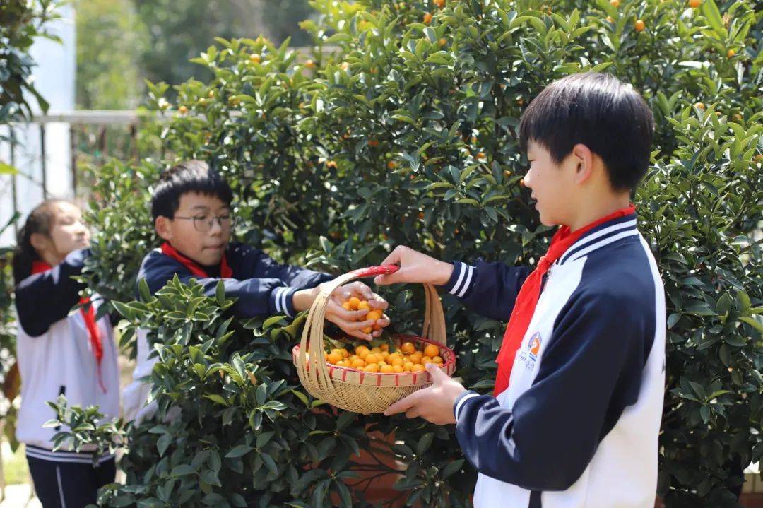 温岭市石桥头小学温岭市逢儒小学组织"童护一片绿"活动.