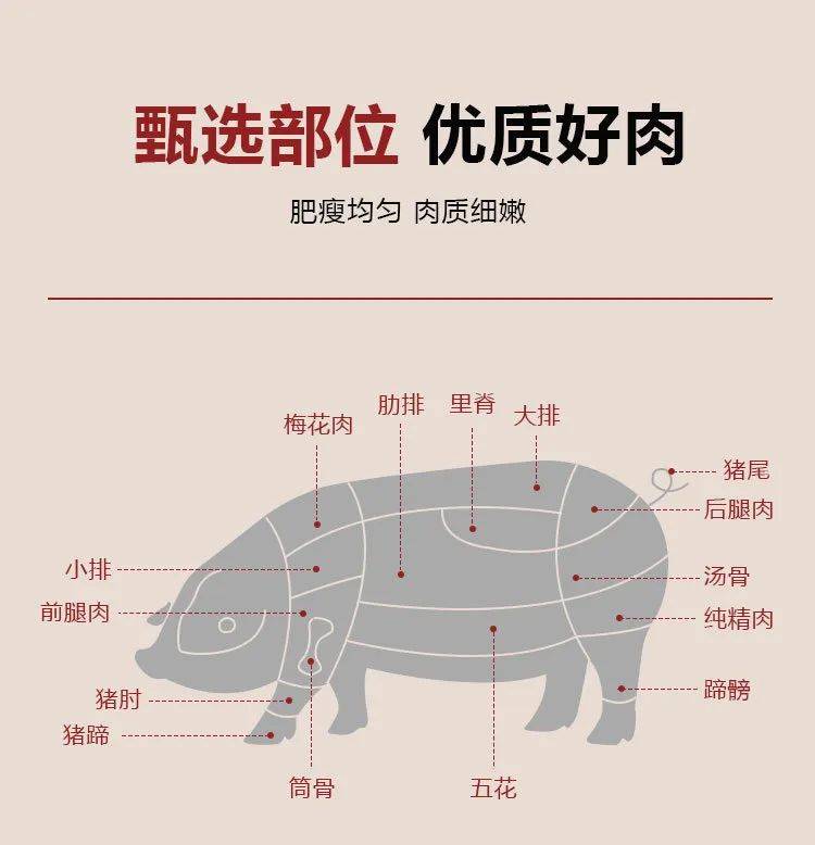 小淘今天推荐的这款芬享家无抗猪梅肉片,都是采用生态无公害,无污染的