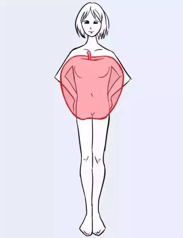 上身胖是脾胃不好下身胖是肝胆不好肚子胖是什么