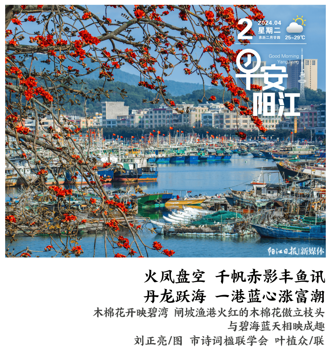 早安阳江喜报我市1集体3个人获司法部表彰