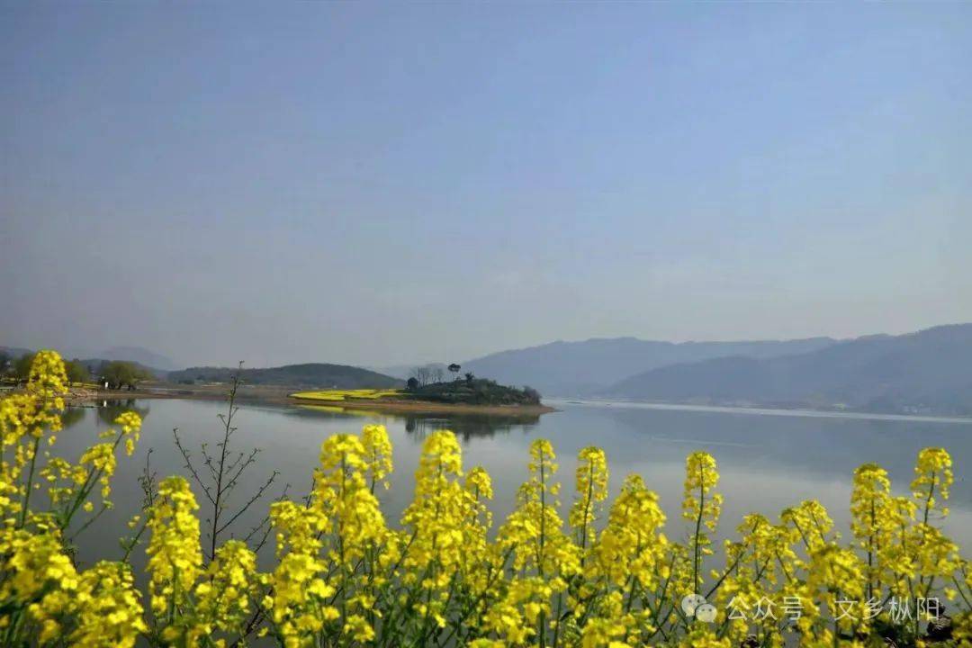 文乡诗苑兰庭雅集124