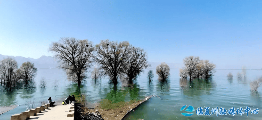 州媒看临夏县古渡碧波荡游客意正浓