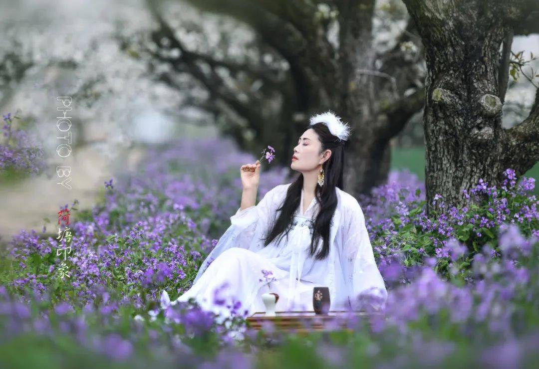 梨园琵琶行_梨花_玉女_姿容