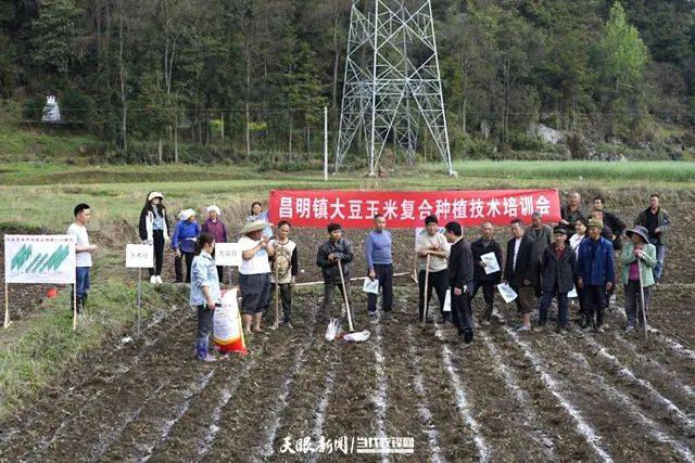媒体看昌明奋进的春天贵定昌明镇春耕备耕正当时农技服务到田间