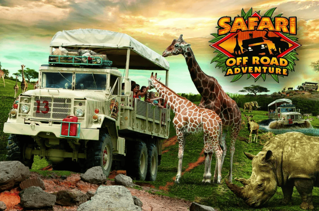 纽约4月必逛16大活动海滩游乐园野生动物园国际车展统统回归啦