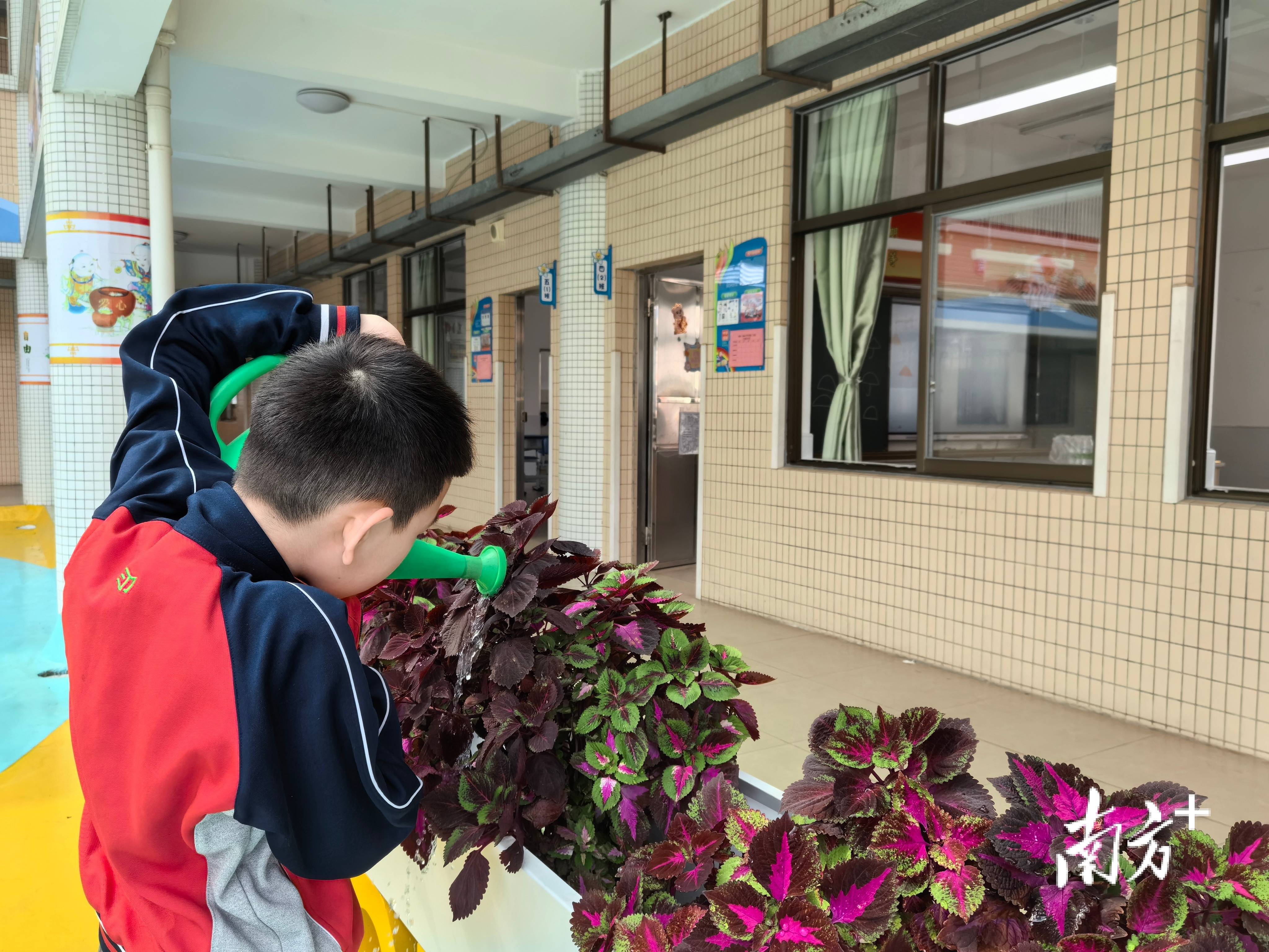 江门一中校花图片