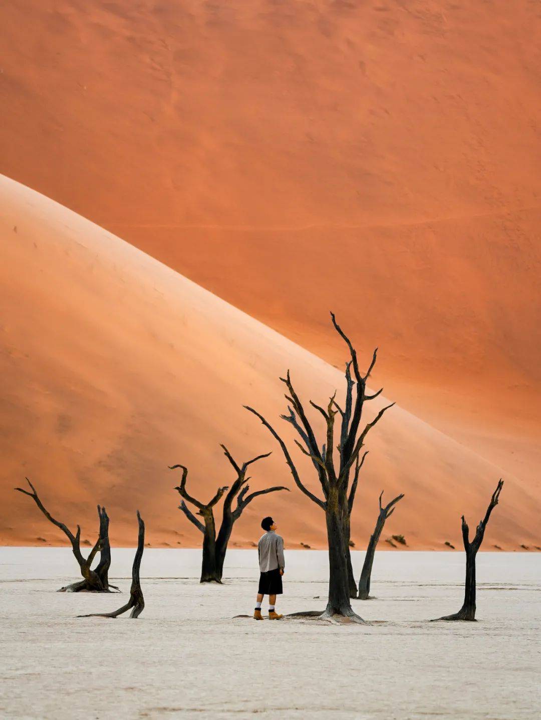 尼康分享跟着z8游历纳米比亚的多样世界