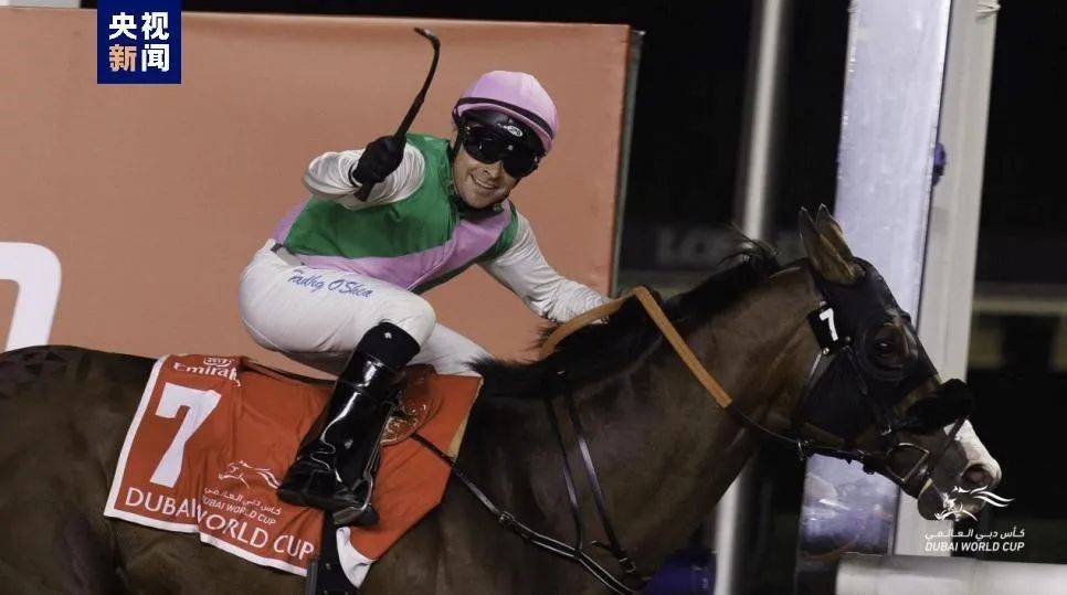 "世界上最昂贵的赛事"——迪拜赛马世界杯_比赛_奖金