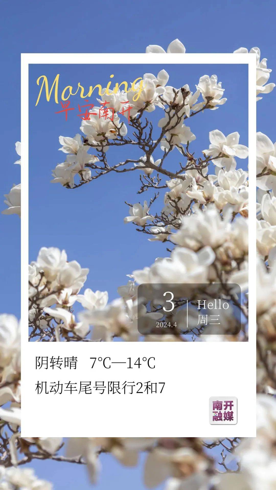 早安看海棠过两天来这里