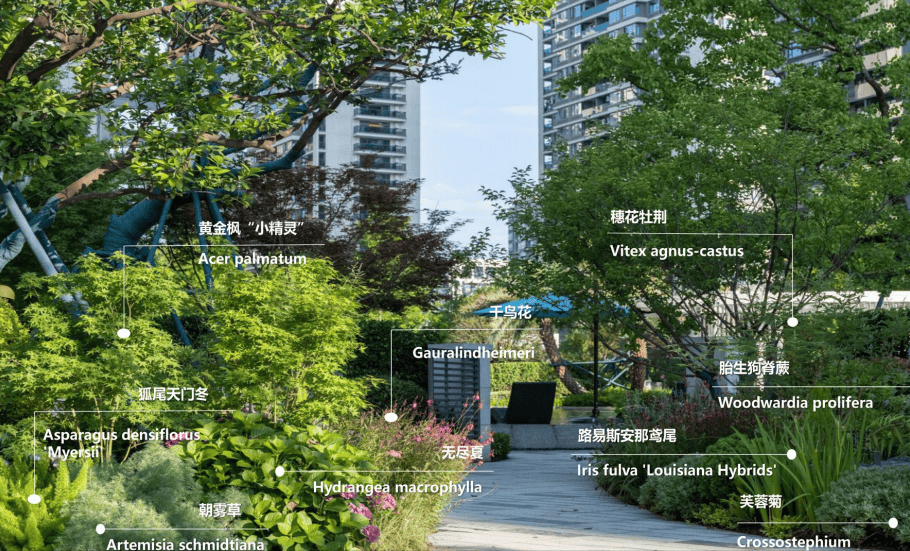 80+花境植物配置图分享:花境设计参考宝典_项目名称_摄影_景观