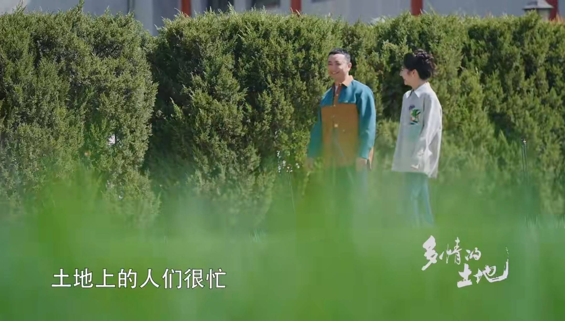 央视清明特别节目,主持人阵容"以老带新",尼格买提搭档新面孔_苏眉文