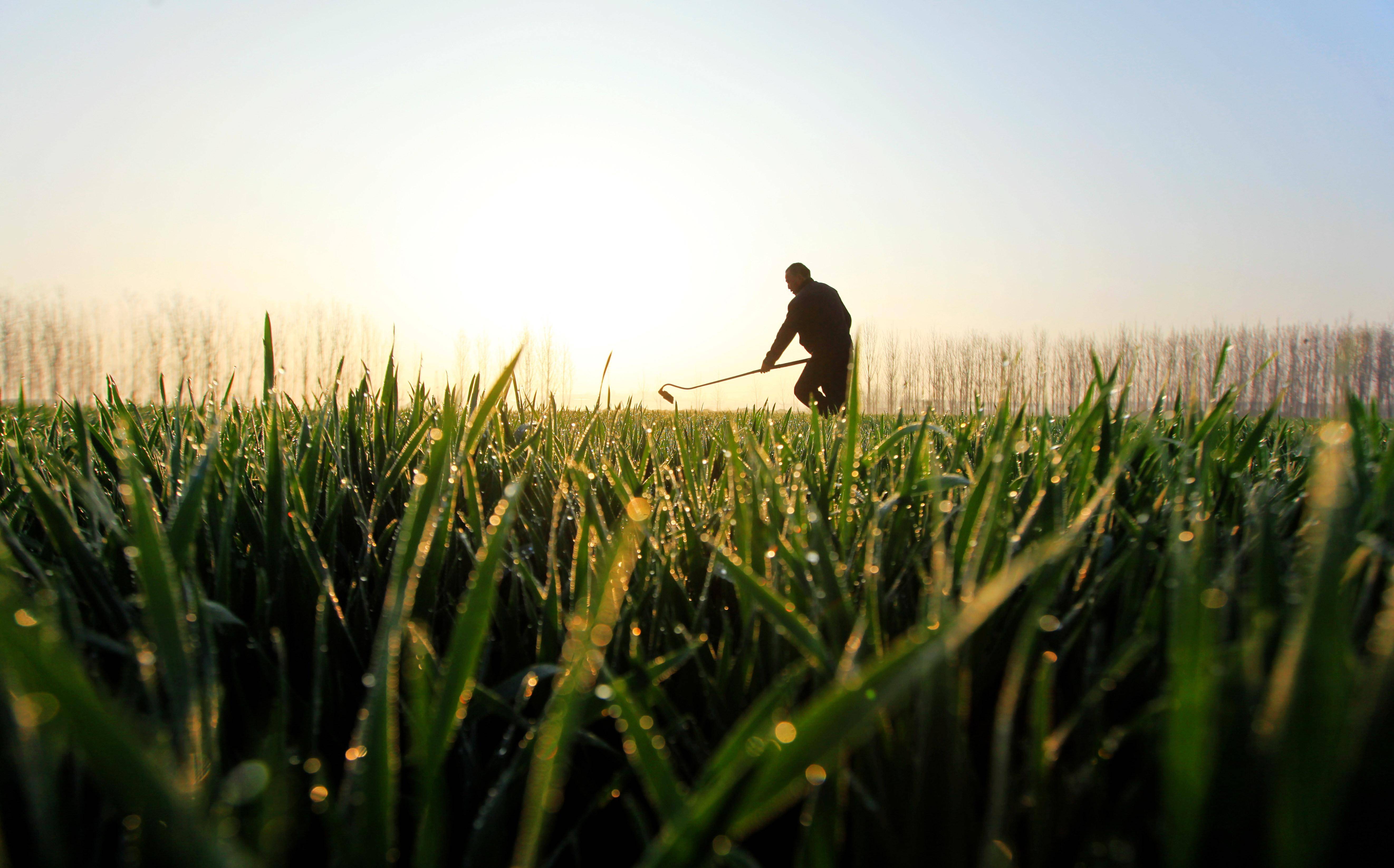 新华全媒丨看从北到南的春耕渐变色