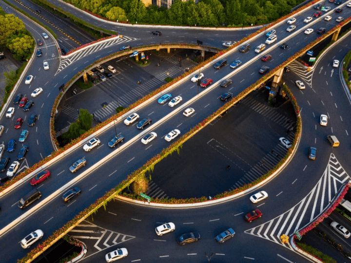 比去年提前约一周,杭州顶流回归,接下来的日子一起走花路吧_月季_高架
