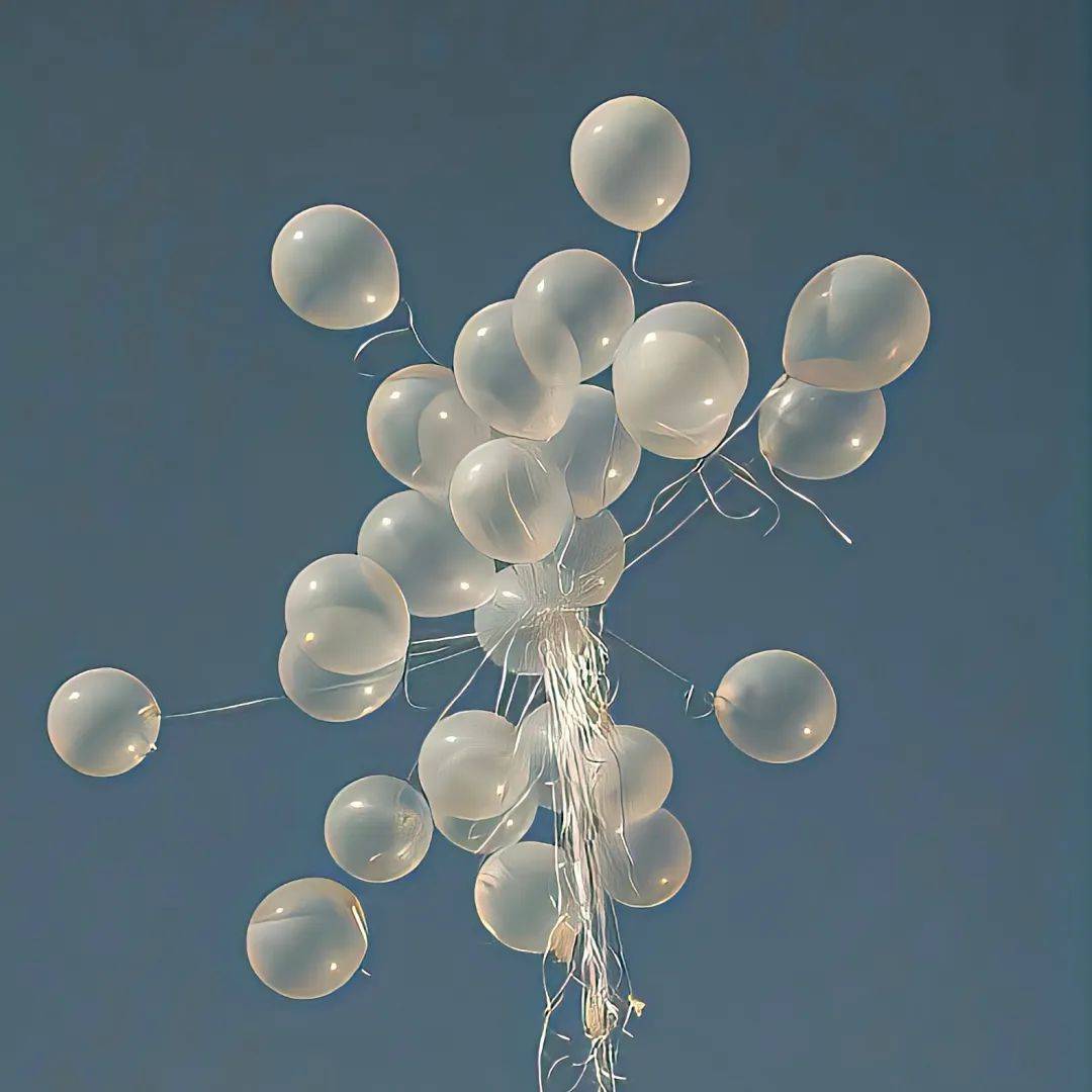 背景图 | 背景图