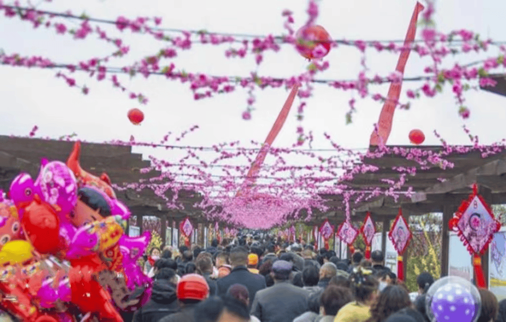 泗洪春有约 桃缘起半城2024年半城镇第九届桃花节浪漫开启