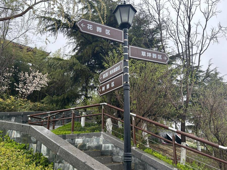 树葬区的边界密密地栽种了红叶石楠及冬青绿篱.