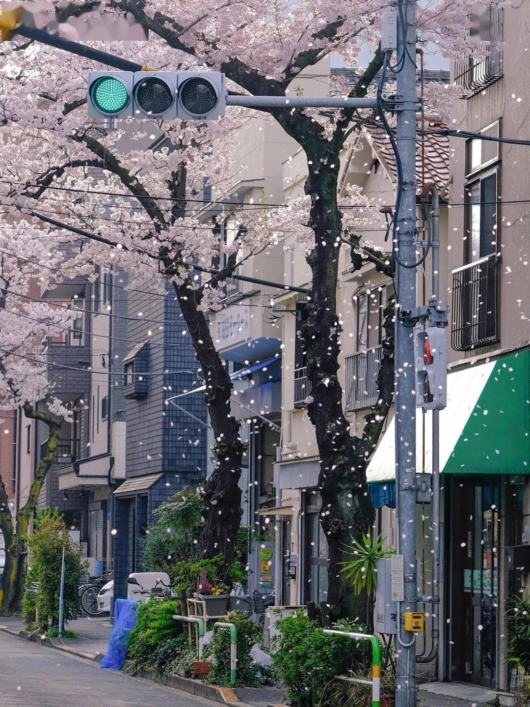 朦胧的街景