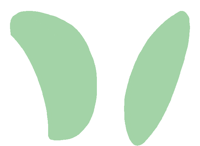 清明祭英烈传承爱国志西陵区中小学开展清明祭英烈活动