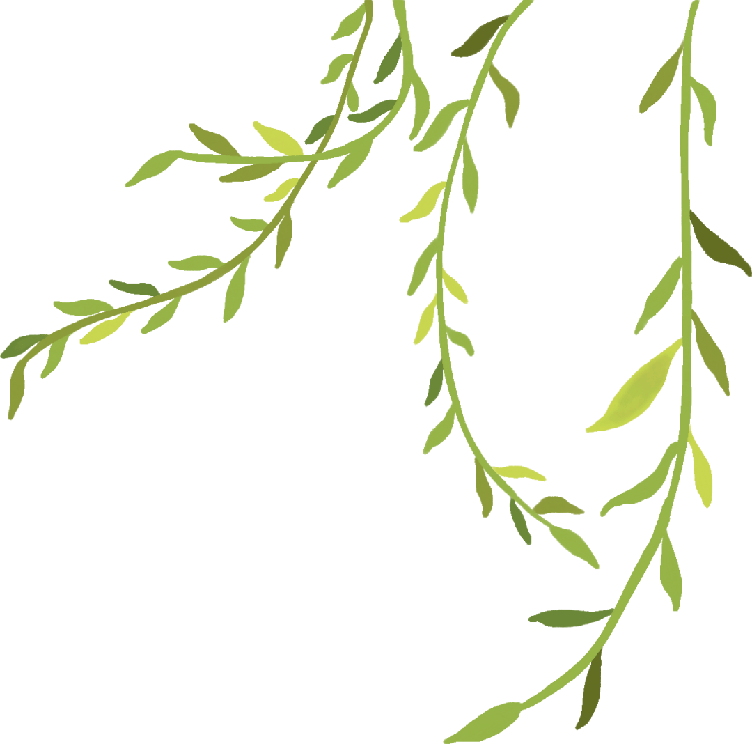 清明假期这些事你要知道