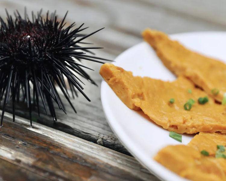 是胆"南澳海胆年糕蟹,南澳海胆咸蛋黄薄饼等有颜又有料的美味海胆菜式