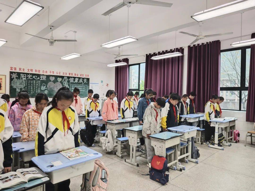 桐梓小学双河小学庙垭小学土地小学白云小学后坪小学浩口小学少先队员