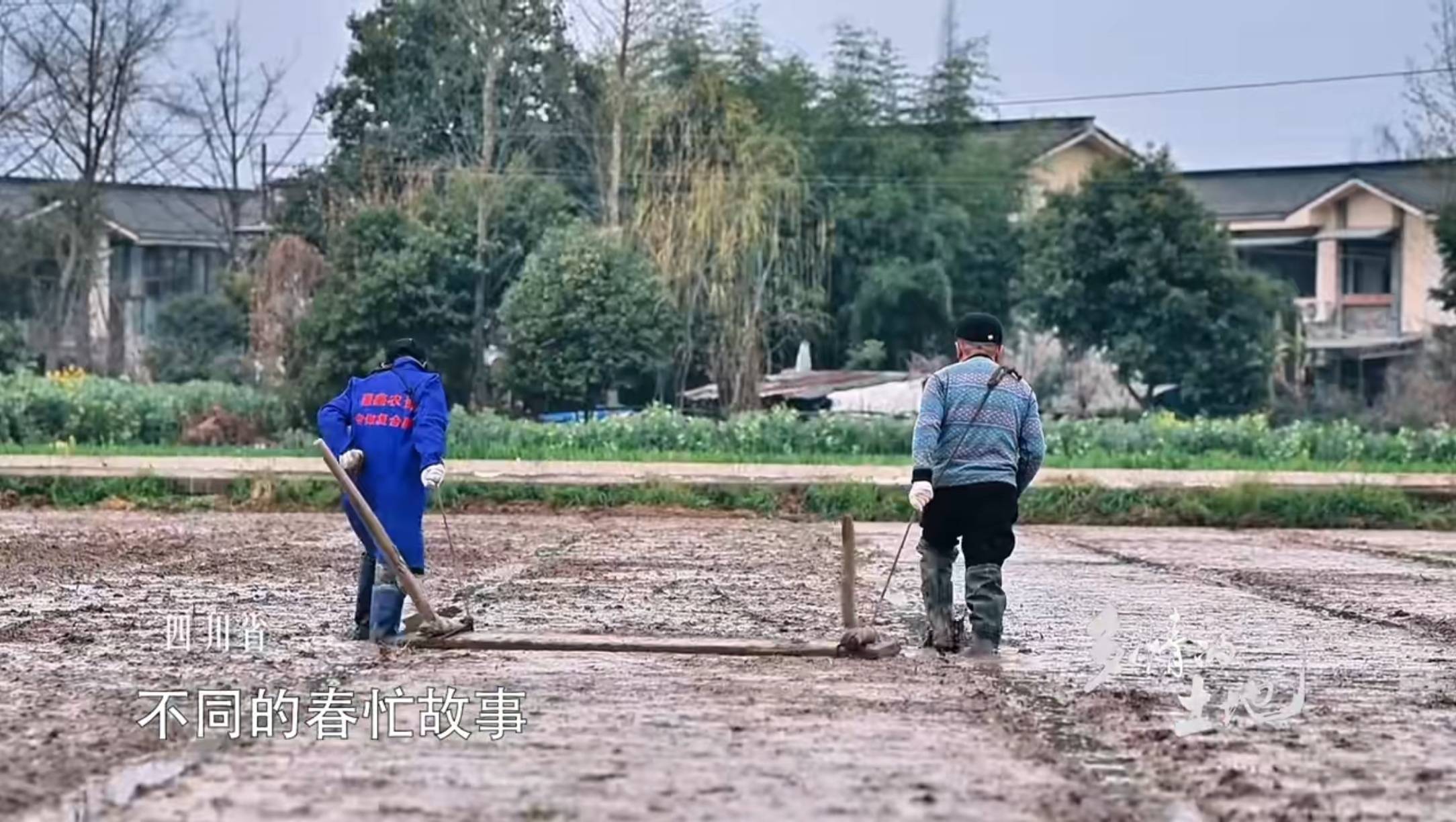 央视清明特别节目,主持人阵容"以老带新",尼格买提搭档新面孔_苏眉文