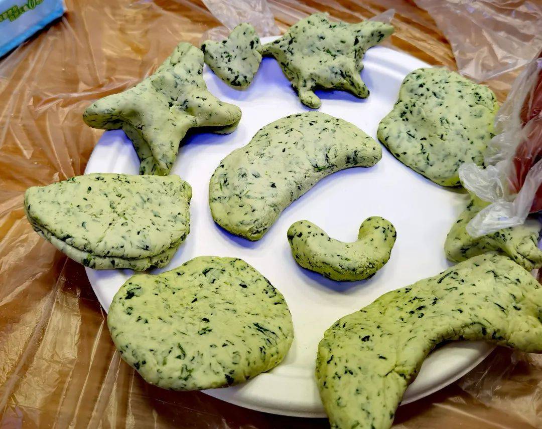 家校互动感受春天气息体验劳动乐趣乐业小学二年级开展