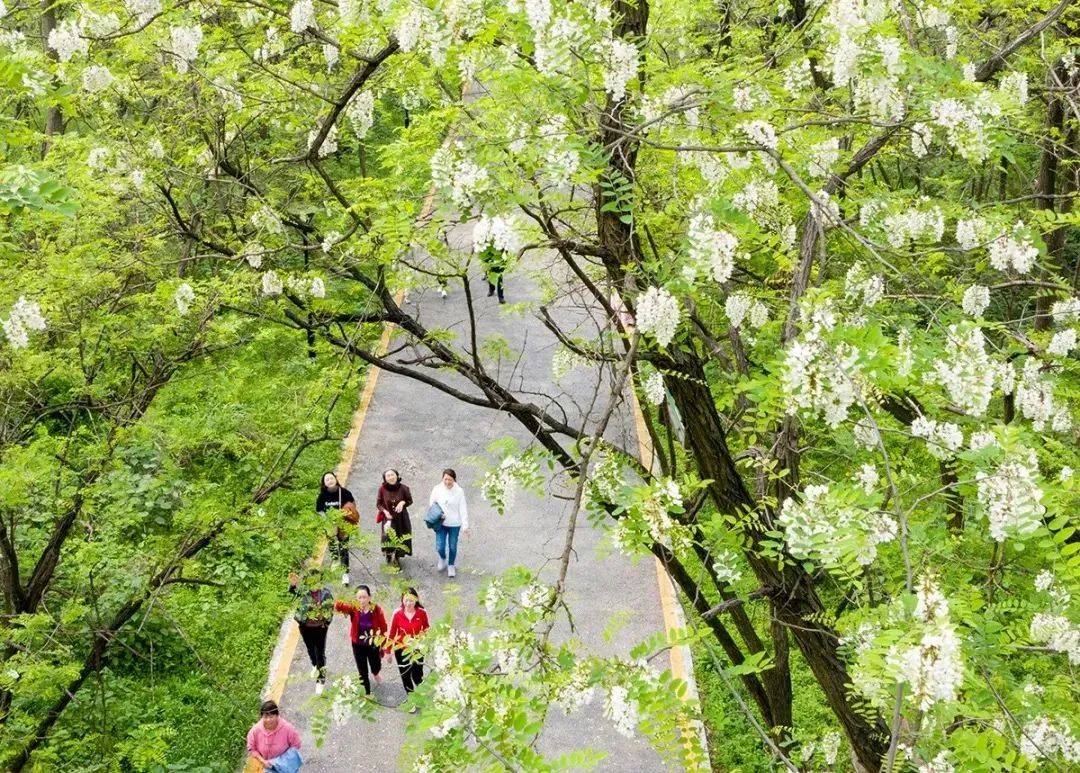 黄石宝藏打卡地赏花踏青一键get