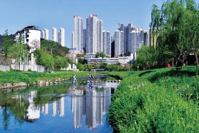 张湾区织牢水源保护三张网提升治理水平现代化