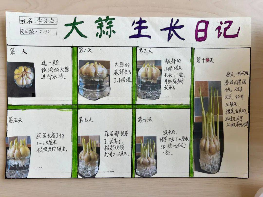 植物资料内容图片