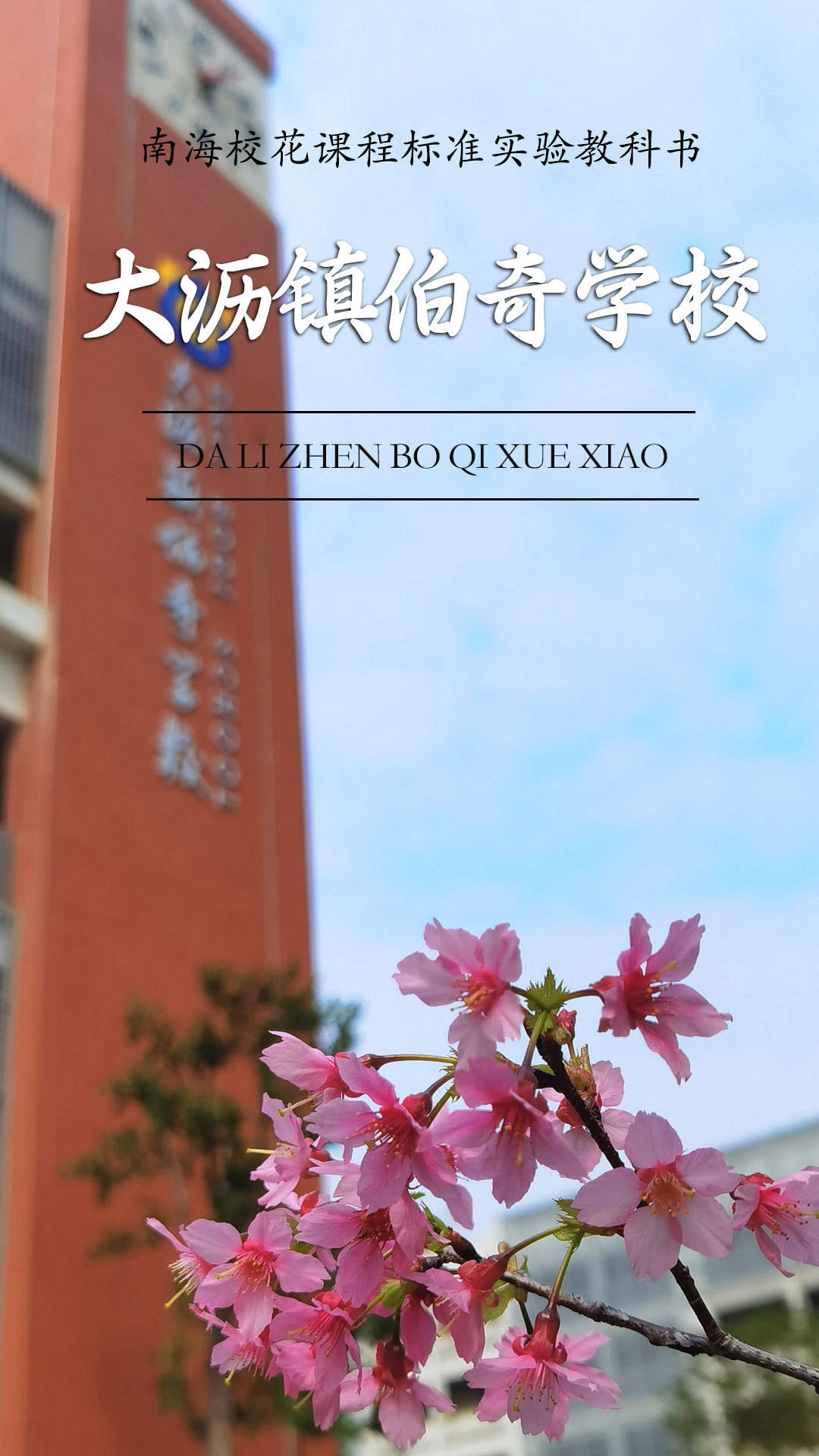 南海校花集合哪一个是你眼中的春日顶流