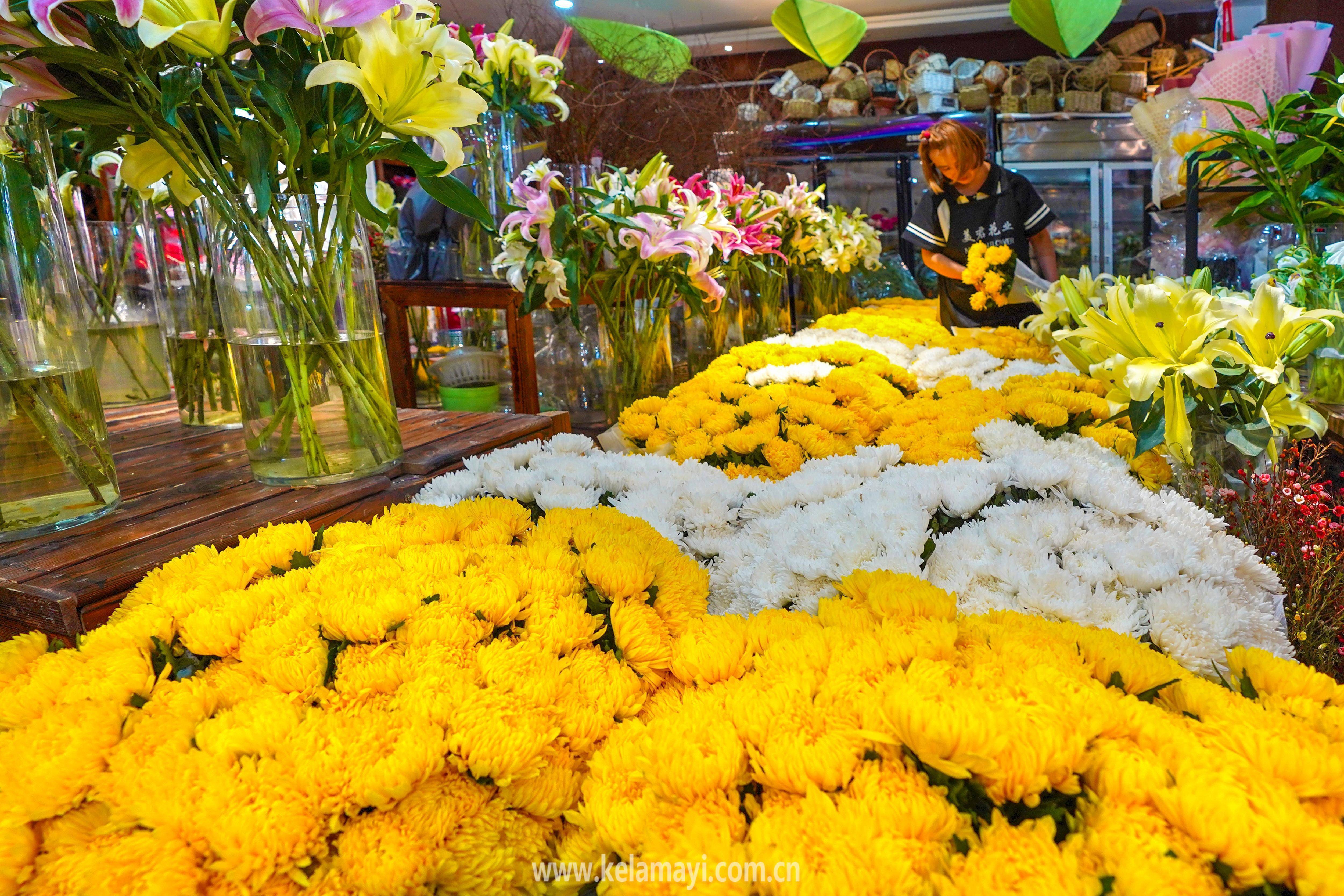 鲜花祭祀成风尚_菊花_方式_到货