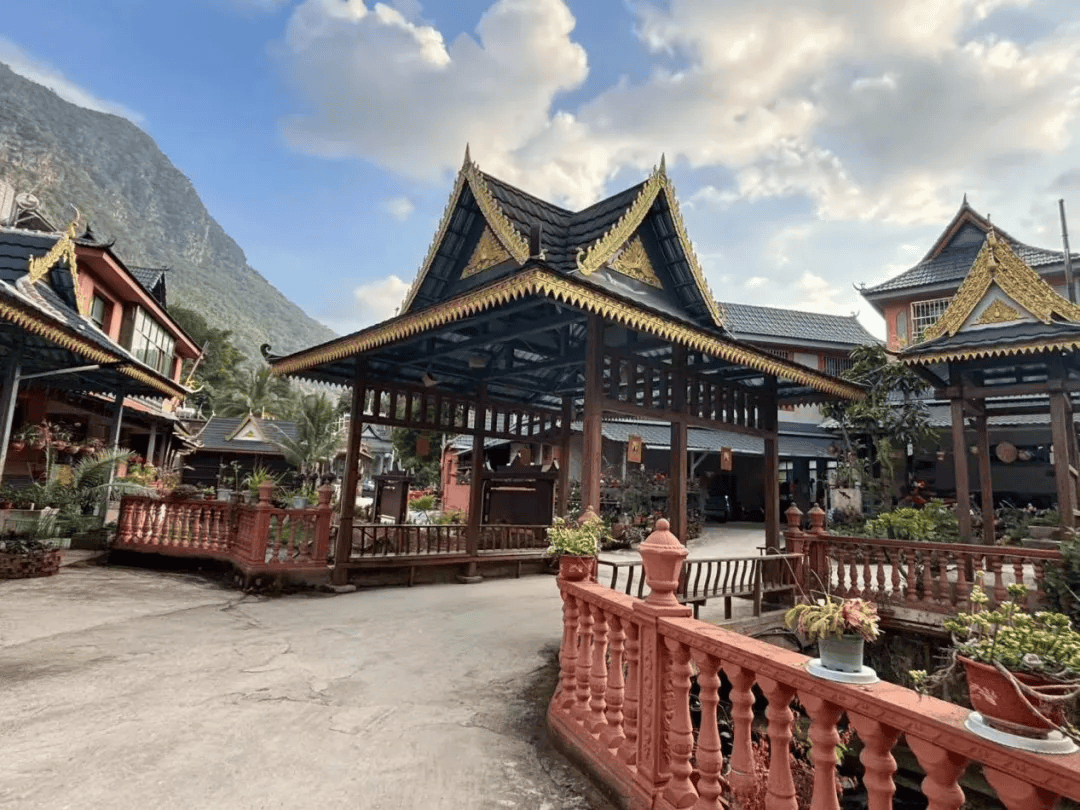 滇干部联络组西双版纳州小组帮扶的勐腊县勐腊镇会龙村,勐仑镇城子村