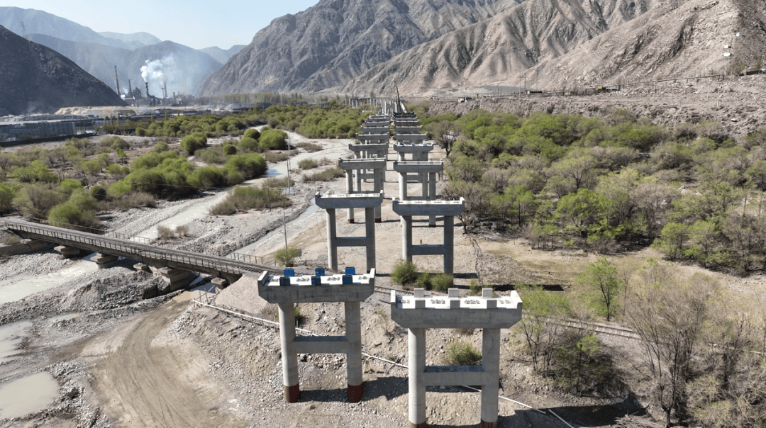 春意盎然项目一线捷报频传